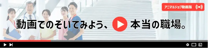 アニマルジョブ動画版