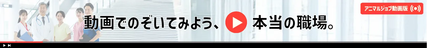 アニマルジョブ動画版