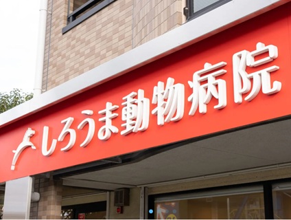 しろうま動物病院の画像