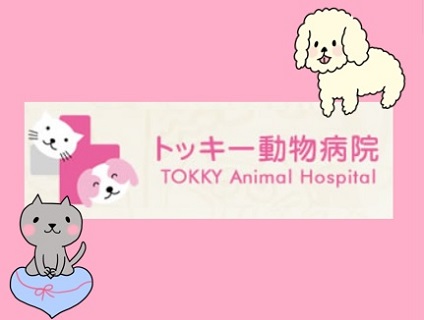 トッキー動物病院の画像
