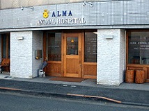 有限会社ALMA画像