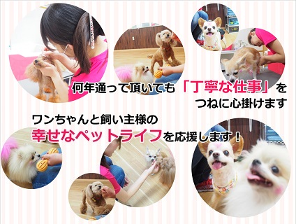 Pet Salon Garden(ペットサロン ガーデン)の画像