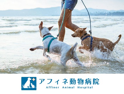 アフィネ動物病院の画像