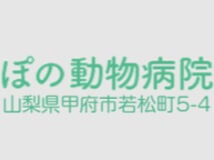 ぽの動物病院の画像