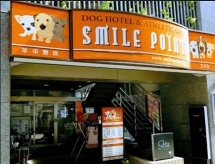 SMILE POINT（スマイルポイント）の画像
