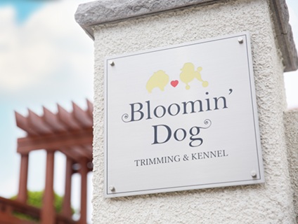 Bloomin‘ Dog(ブルーミンドッグ)の画像