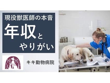 株式会社キキ動物病院／キキ動物病院の画像