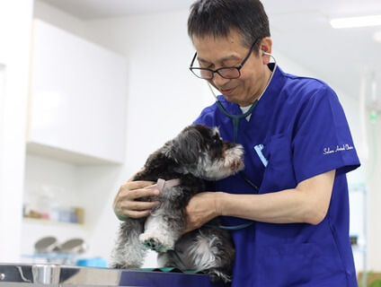 【ソラーレどうぶつ病院／株式会社食環境衛生研究所】獣医師の募集＜正社員／群馬県前橋市＞画像