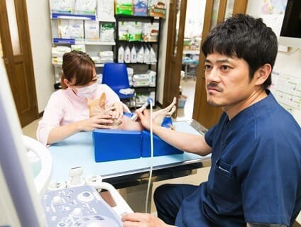 ＜宮川どうぶつ病院＞獣医師の募集[正社員][奈良県北葛城郡上牧町]No.104_d_a0b7F000000OHG4QAO画像