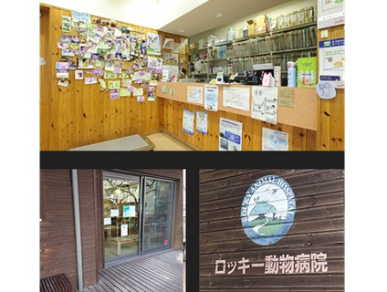 ロッキー動物病院の画像１
