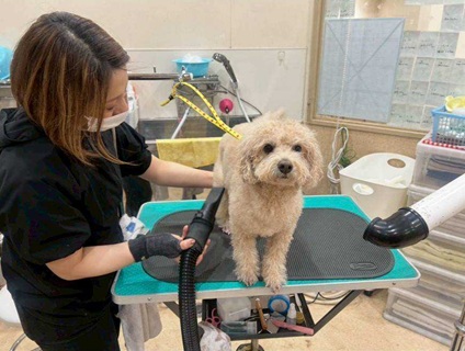 モナミペット リノアス八尾店の画像