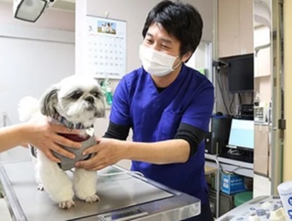 ＜ハッピー動物病院＞動物看護スタッフの募集［正社員／大阪府豊中市］画像