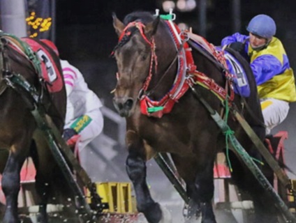 《一般社団法人ばんえい十勝》獣医師の募集！［正社員／北海道帯広市］画像