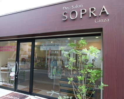 SOPRA GINZA 吉川美南店の画像