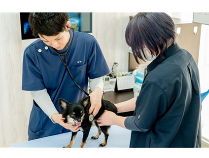 あまの動物病院の画像１