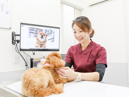 《▼なのはペットクリニック▼》獣医師の募集！＜アルバイト・パート／茨城県つくば市＞画像