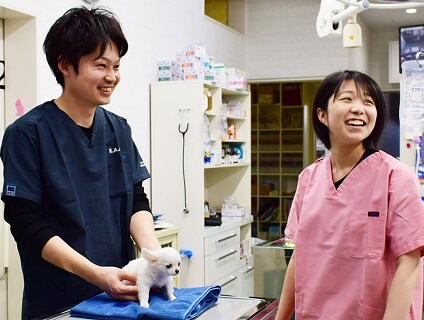 【くじら動物病院　一宮病院】動物看護スタッフ募集中！！[正社員／愛知県一宮市]画像