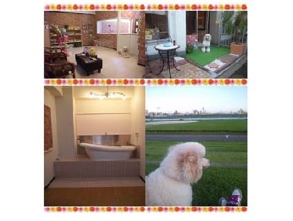 Love＆Dog本店（ラブアンドドッグ）の画像