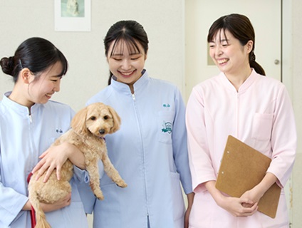 大阪ペピイ動物看護専門学校の画像