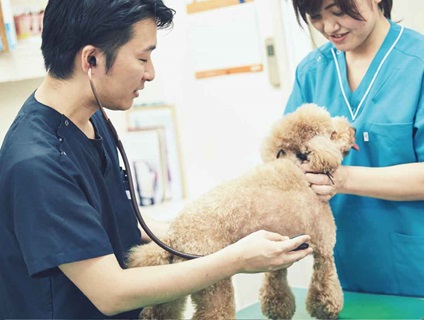 ◆ みらいず動物病院 ◆動物看護スタッフさんを募集中！〔正社員／大阪府枚方市〕画像