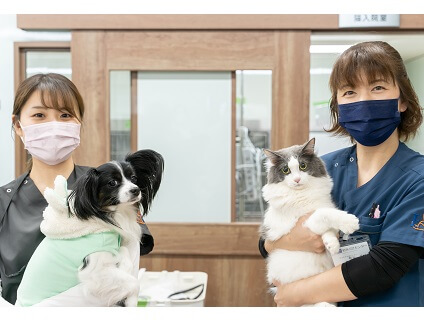 ライフメイト動物救急センター ER文京の画像