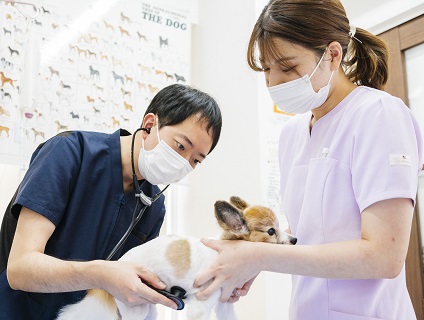あまの動物病院の画像１