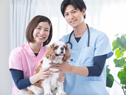 コーナン練馬大泉どうぶつ病院（アニホック動物病院グループ）の画像１