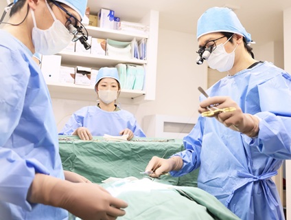 マエカワ動物病院の画像