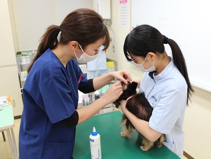 経専北海道どうぶつ専門学校の画像