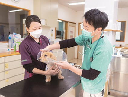 岡山動物医療センターグループ[新卒]の画像1