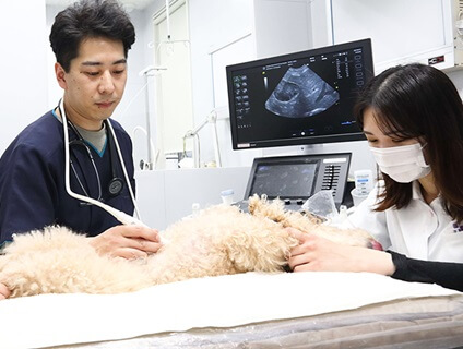 さっぽろ元町動物病院の画像