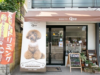 dog salon Qooの画像１