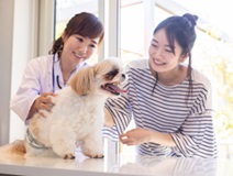 株式会社Pets-NX／All for Pets往診センターの画像