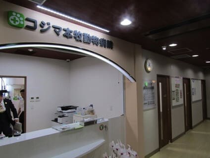 ＜コジマ横浜本牧動物病院＞動物看護スタッフの募集[正社員][神奈川県横浜市中区]No.104_d_a0b7F000000OZn4QAG画像