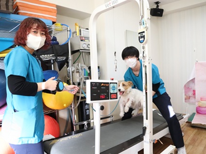 グラ-ス動物病院の画像1