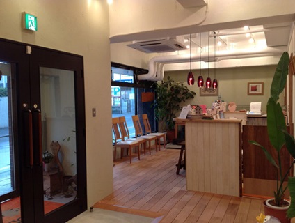 バディどうぶつ病院の画像１