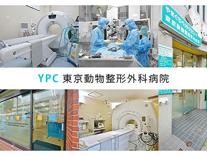 YPC東京動物整形外科病院／VCA Japan合同会社の画像