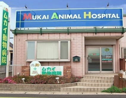 ＜ムカイ動物病院＞獣医師募集[正社員][千葉県四街道市]No.104_d_a0b7F000000OGNCQA4画像