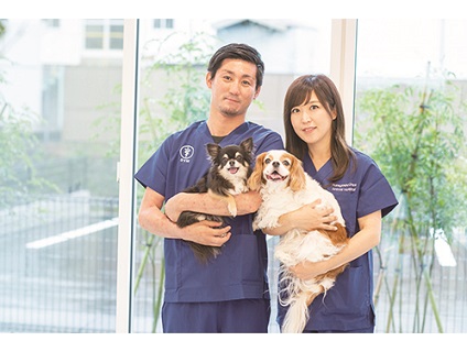 倉吉おおひら動物病院[新卒]の画像2