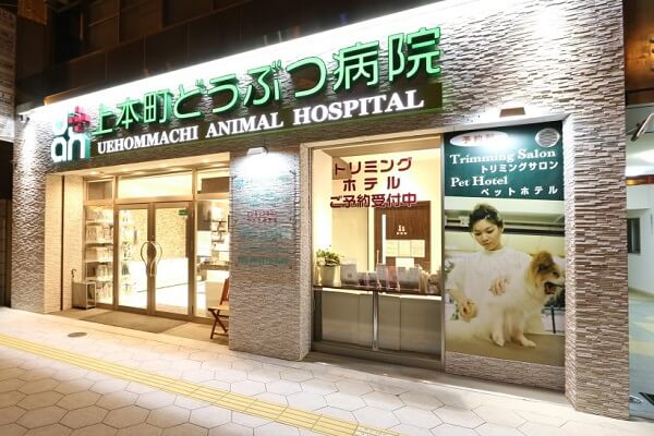 △▼上本町どうぶつ病院▼△獣医師の募集！[正社員／大阪府大阪市天王寺区]No.103_b画像