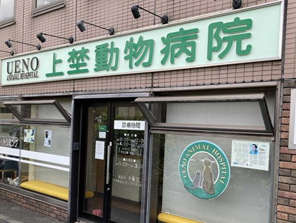 《上埜動物病院》動物看護スタッフさんを募集しています！〔アルバイト・パート／東京都世田谷区〕No.62_m画像