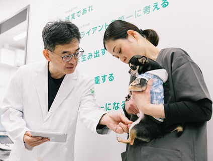 アルダグループ（A'alda X株式会社）／DCC動物病院　静岡県エリアの画像１