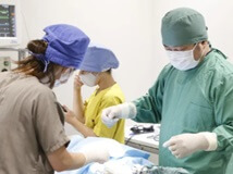 ＜コジマ亀戸動物病院＞獣医師の募集！[正社員/東京都葛飾区]画像