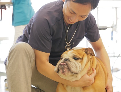 SUN PET CLINIC（サンペットクリニック）の画像１
