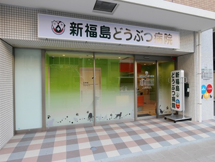 新福島どうぶつ病院の画像１