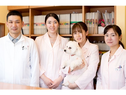 しろうま動物病院の画像1