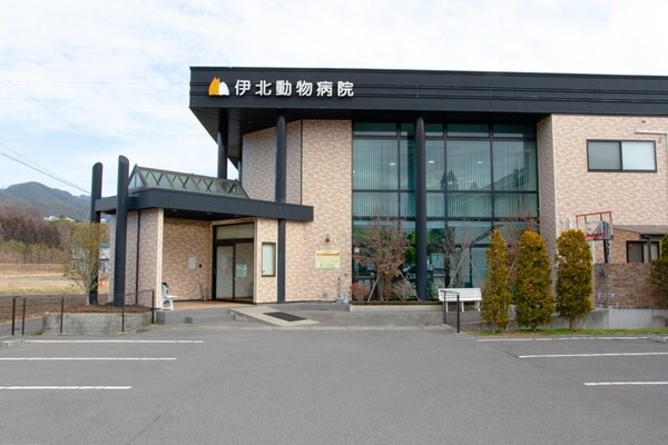 ◆伊北動物病院◆ 獣医師の募集！［アルバイト・パート／長野県上伊那郡箕輪町］No.103_b画像