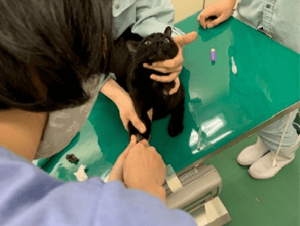 大阪府庁の画像１