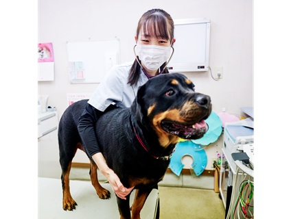 アルダグループ（A'alda X株式会社）／たきた動物病院の画像