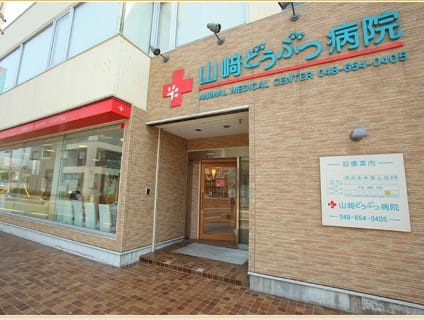 ＜山崎どうぶつ病院＞動物看護スタッフの募集[正社員][埼玉県さいたま市大宮区]No.104_d_a0b7F000000OZjGQAW画像